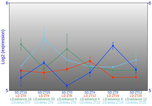 Expression graph