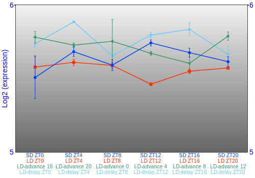 Expression graph