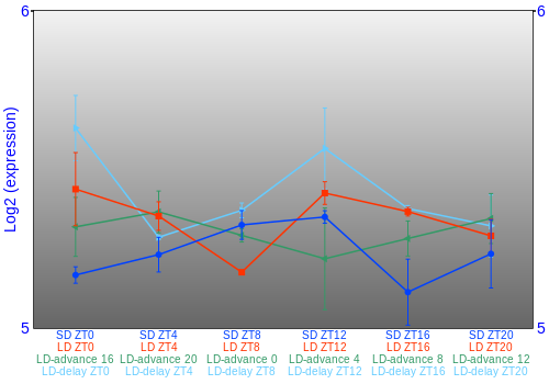 Expression graph