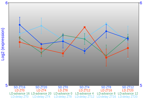 Expression graph