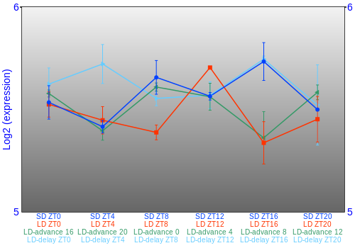 Expression graph