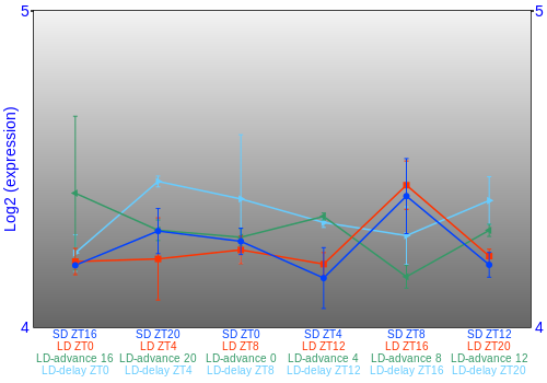 Expression graph