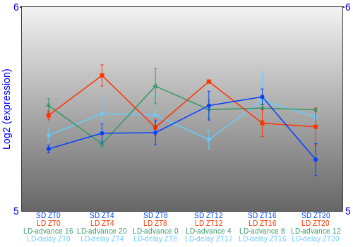 Expression graph