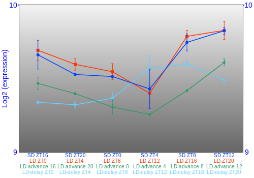 Expression graph