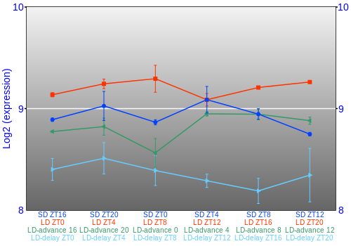 Expression graph