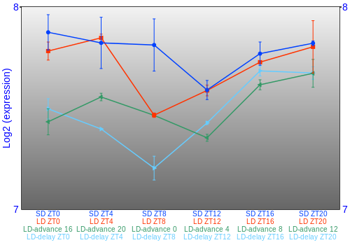 Expression graph