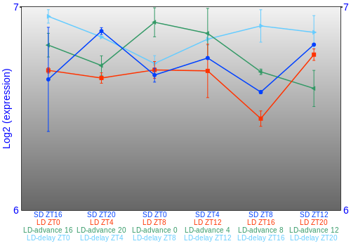 Expression graph