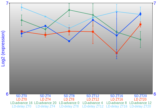 Expression graph