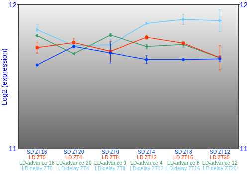 Expression graph