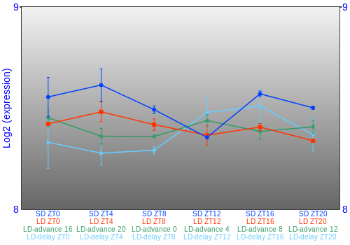 Expression graph