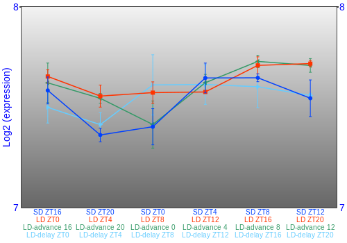 Expression graph