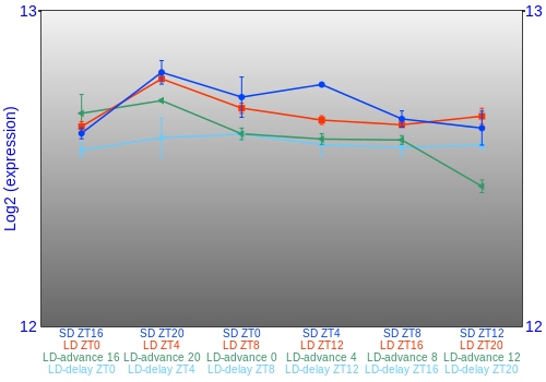 Expression graph