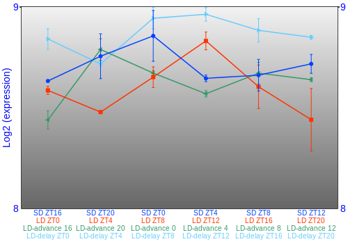 Expression graph