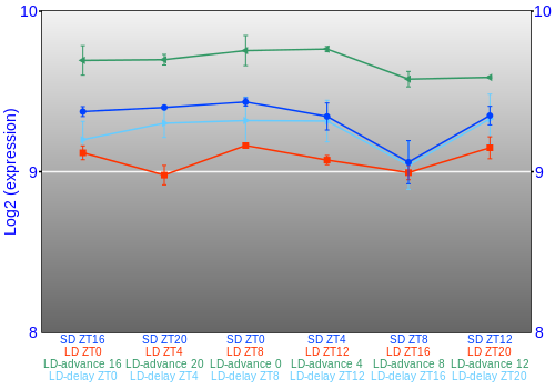 Expression graph