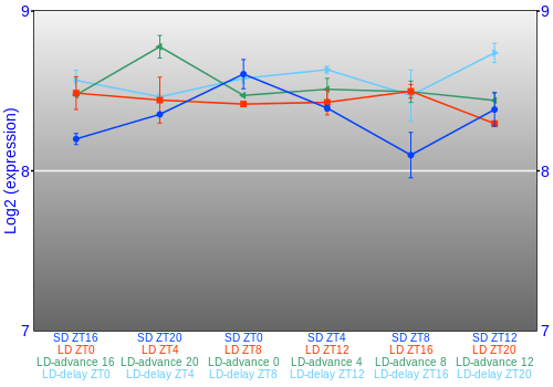 Expression graph