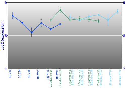 Expression graph