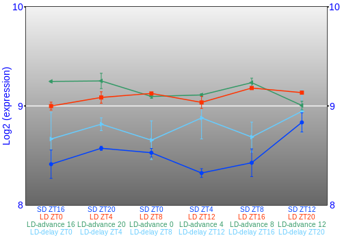Expression graph