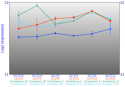 Expression graph