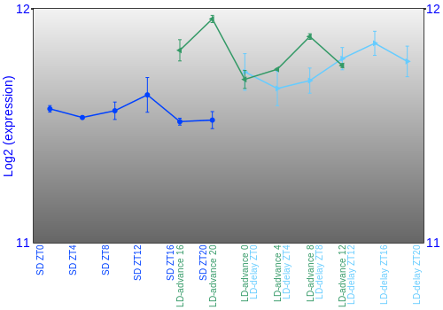 Expression graph