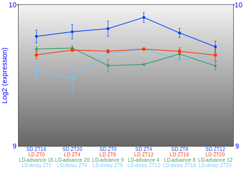 Expression graph