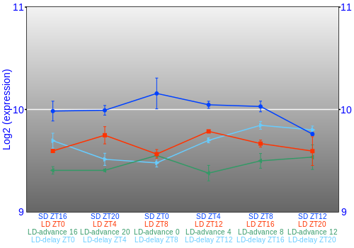 Expression graph