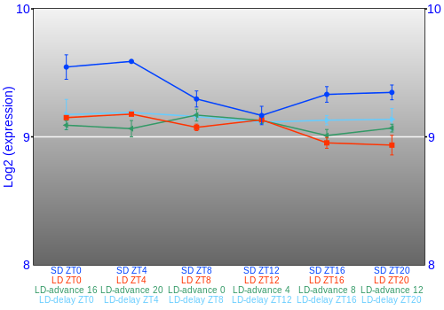 Expression graph