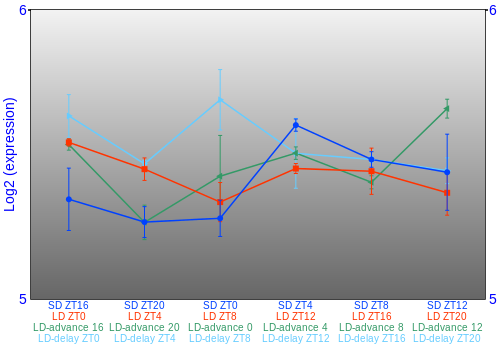 Expression graph