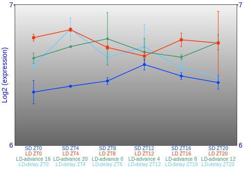 Expression graph