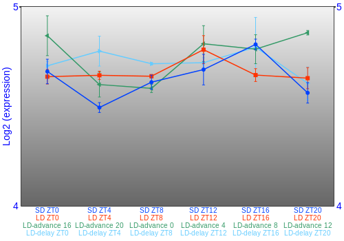 Expression graph