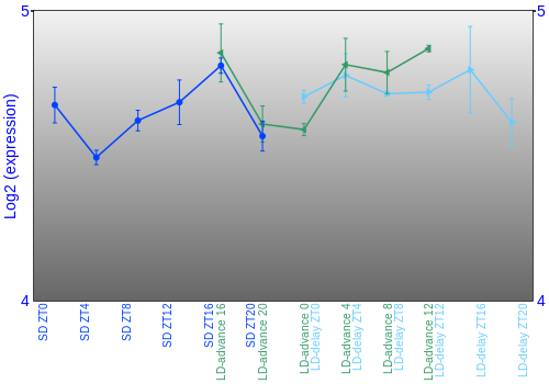 Expression graph