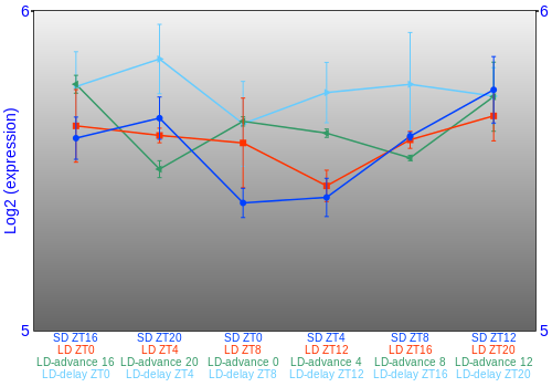 Expression graph