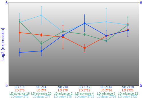 Expression graph