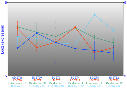 Expression graph