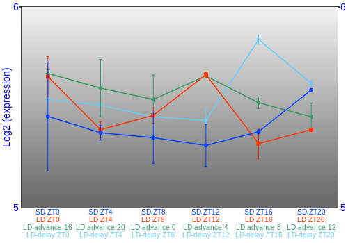 Expression graph