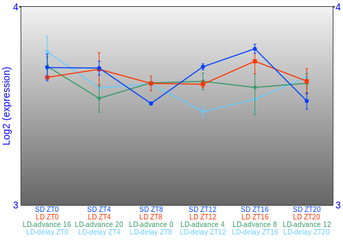 Expression graph