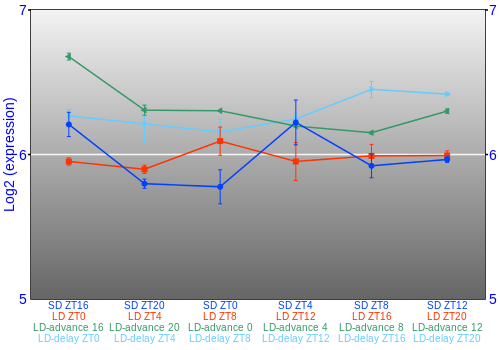 Expression graph