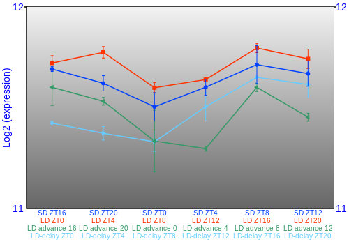 Expression graph