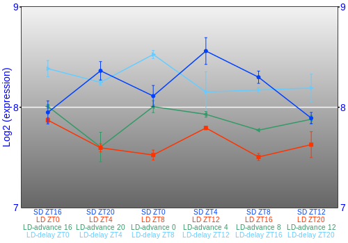 Expression graph