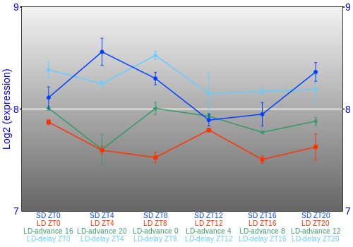 Expression graph