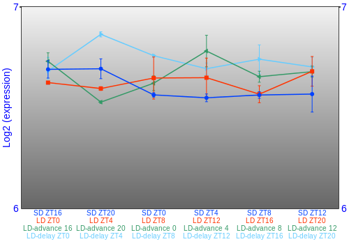 Expression graph