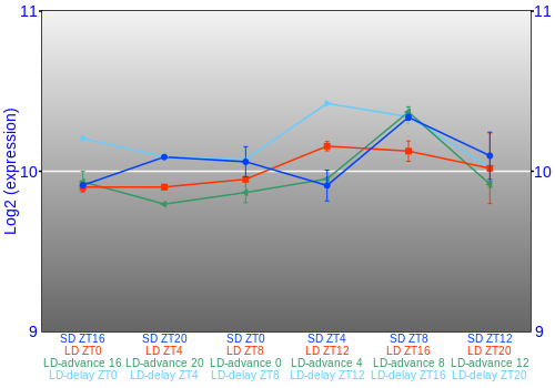 Expression graph