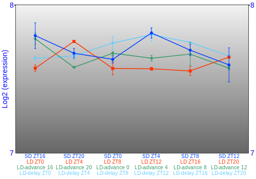 Expression graph