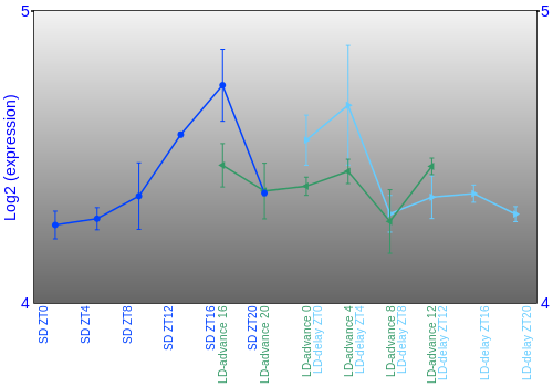 Expression graph