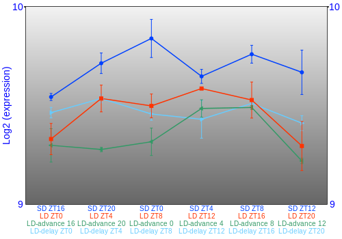 Expression graph