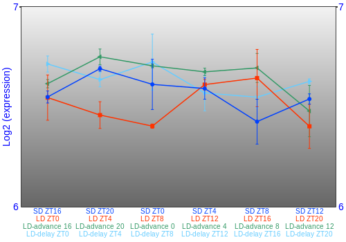 Expression graph