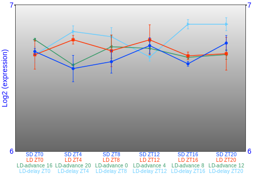 Expression graph