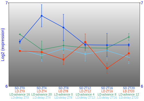 Expression graph