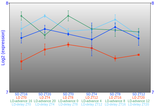 Expression graph