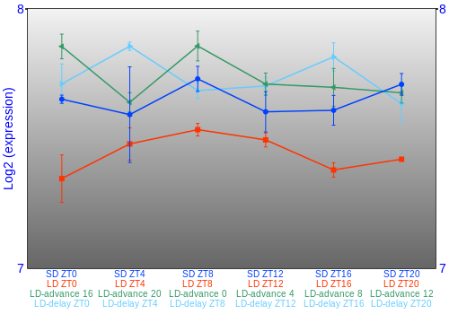 Expression graph