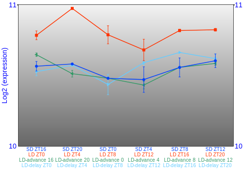 Expression graph